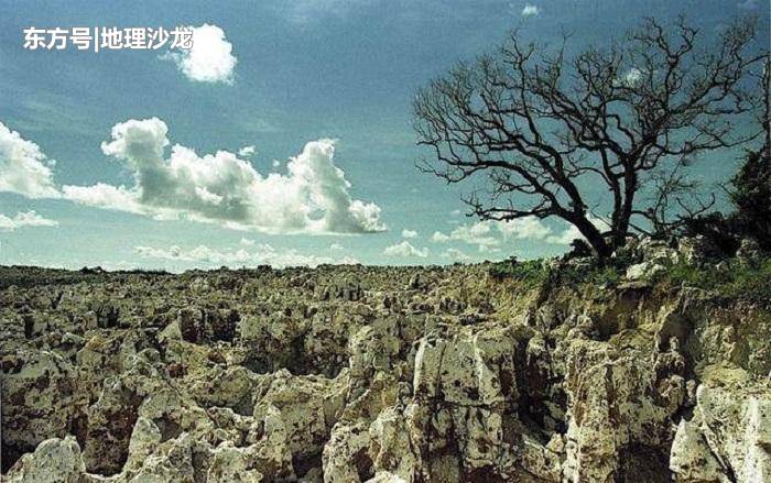 太平洋岛屿国家“瑙鲁”，是一个怎样的国家？998 / 作者:vsCnfaOT / 帖子ID:52396