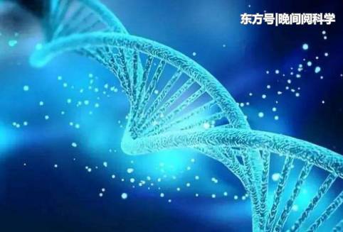 将人体DNA连在一起，会有多长？从地球到太阳可往返300多次637 / 作者:FENGER106 / 帖子ID:52439