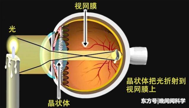 阳光到达地球需8分钟，人只需1秒便能看到太阳，眼速比光速快？6 / 作者:xinting_6ym / 帖子ID:52442