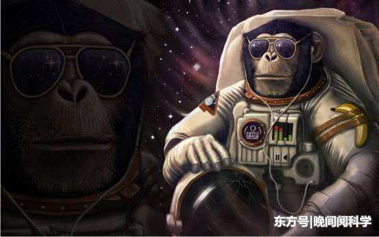 50年前被送上太空的猴子引发人类思考：我们这么做到底对不对？899 / 作者:老橡树1 / 帖子ID:52516