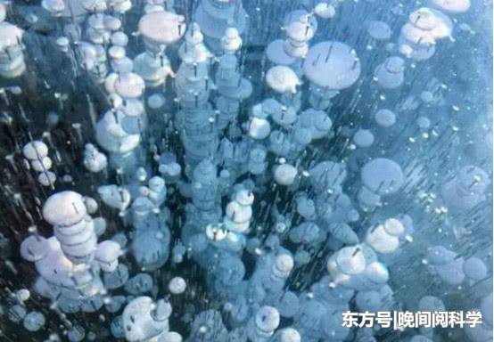 西伯利亚出现7000个“土壤气泡”，气泡破碎后竟释放甲烷气体558 / 作者:happy66.net / 帖子ID:52517