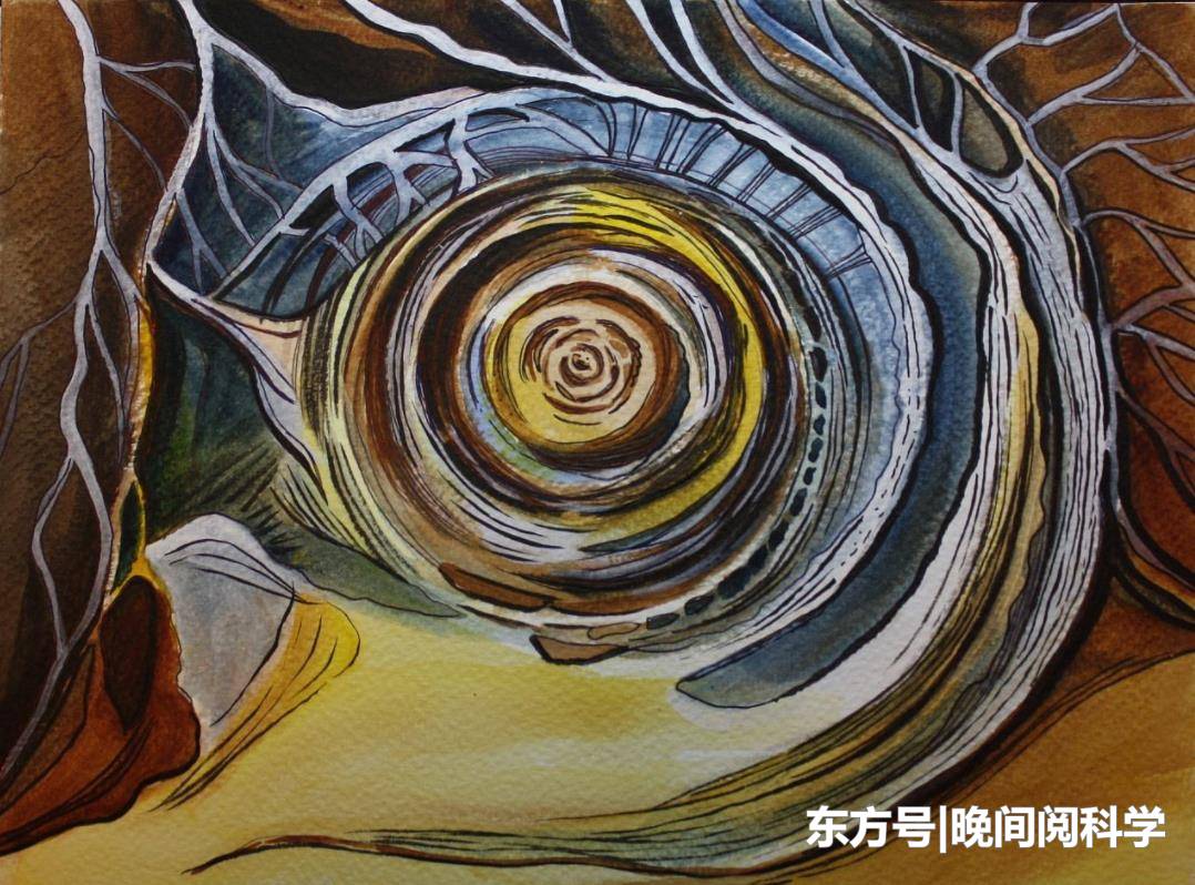 撒哈拉沙漠发现一只“巨眼”，直径超50公里，眼睫毛清晰可见233 / 作者:简0 / 帖子ID:52518