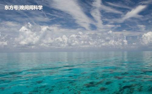 科学家在海底发现海洋“高音”，身长29毫米，声音却比鲸鱼还强871 / 作者:yiyee123 / 帖子ID:52522
