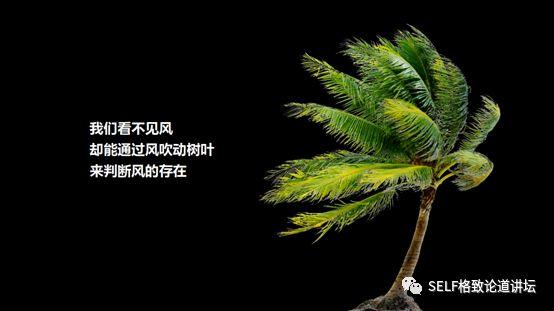 在黑洞现出“真身”之前，科学家怎样证明它是真的存在？937 / 作者:inmyhome / 帖子ID:52638