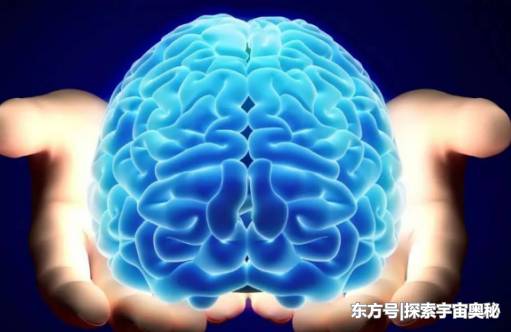 人和石头都是由原子构成，为什么人有思想而石头却没有？697 / 作者:gating / 帖子ID:52650