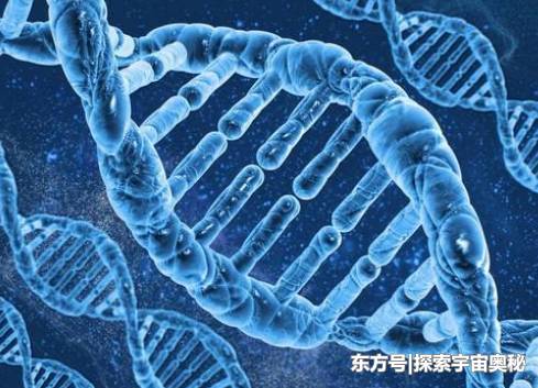 人和石头都是由原子构成，为什么人有思想而石头却没有？340 / 作者:gating / 帖子ID:52650
