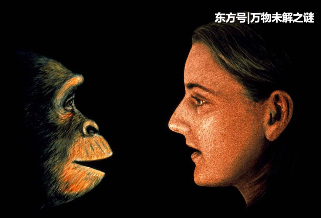 与9000年前的人类相比，会有什么不同？823 / 作者:天一教育培训寐 / 帖子ID:52668