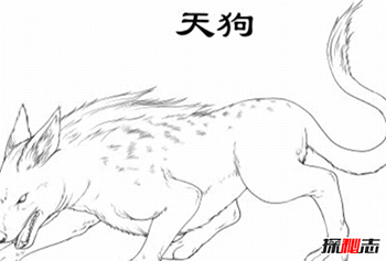 天狗食月的神话故事,用科学怎么解释473 / 作者:揭秘者 / 帖子ID:56213