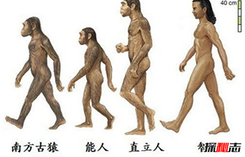 令人恐怖-20个残忍的人类真相,人类晚上比早上矮1厘米381 / 作者:网上的人生 / 帖子ID:53057