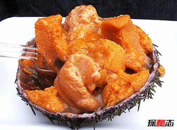 恶心的食物照片,盘点十大恶心又美味的美食199 / 作者:网上的人生 / 帖子ID:52835