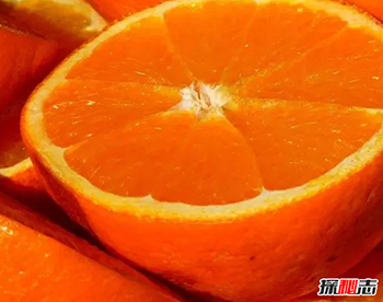 七天不喝水会死吗,不如多吃点水果吧783 / 作者:揭秘者 / 帖子ID:55672