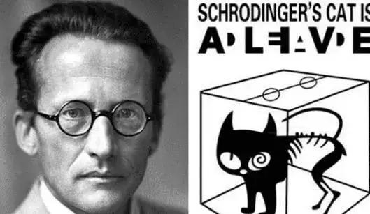 “薛定谔的猫”究竟有多恐怖？衍生出来的理论，可以窥探宇宙823 / 作者:coloristy / 帖子ID:52702