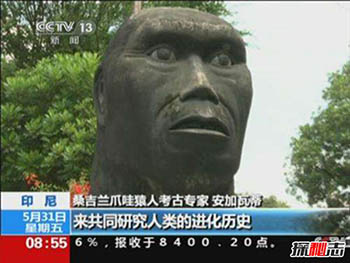 最早发现的直立人：爪哇猿人544 / 作者:网上的人生 / 帖子ID:52796