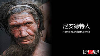 尼安德特人浑身是病，致病基因全部遗传人类785 / 作者:网上的人生 / 帖子ID:52770
