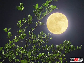 超级月亮2019什么时候？超级月亮是怎么形成的？956 / 作者:网上的人生 / 帖子ID:53140