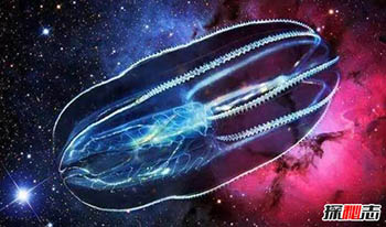 宇宙中比地球还大的生物，在真空中遨游以吞噬星体为生469 / 作者:网上的人生 / 帖子ID:52925