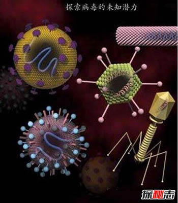世界上最大的病毒：米米病毒（Mimicking microbe virus）796 / 作者:揭秘者 / 帖子ID:56207