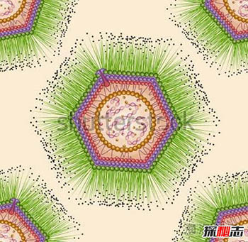 世界上最大的病毒：米米病毒（Mimicking microbe virus）735 / 作者:揭秘者 / 帖子ID:56207