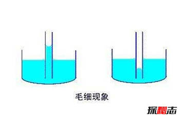 揭秘立筷子的科学解释，实则物理中的一种毛细现象744 / 作者:网上的人生 / 帖子ID:52943