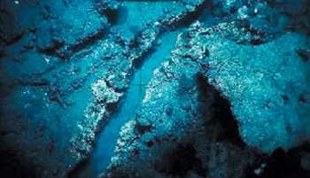 海底2446米深处发现单细胞微生物766 / 作者:明明是我 / 帖子ID:54644