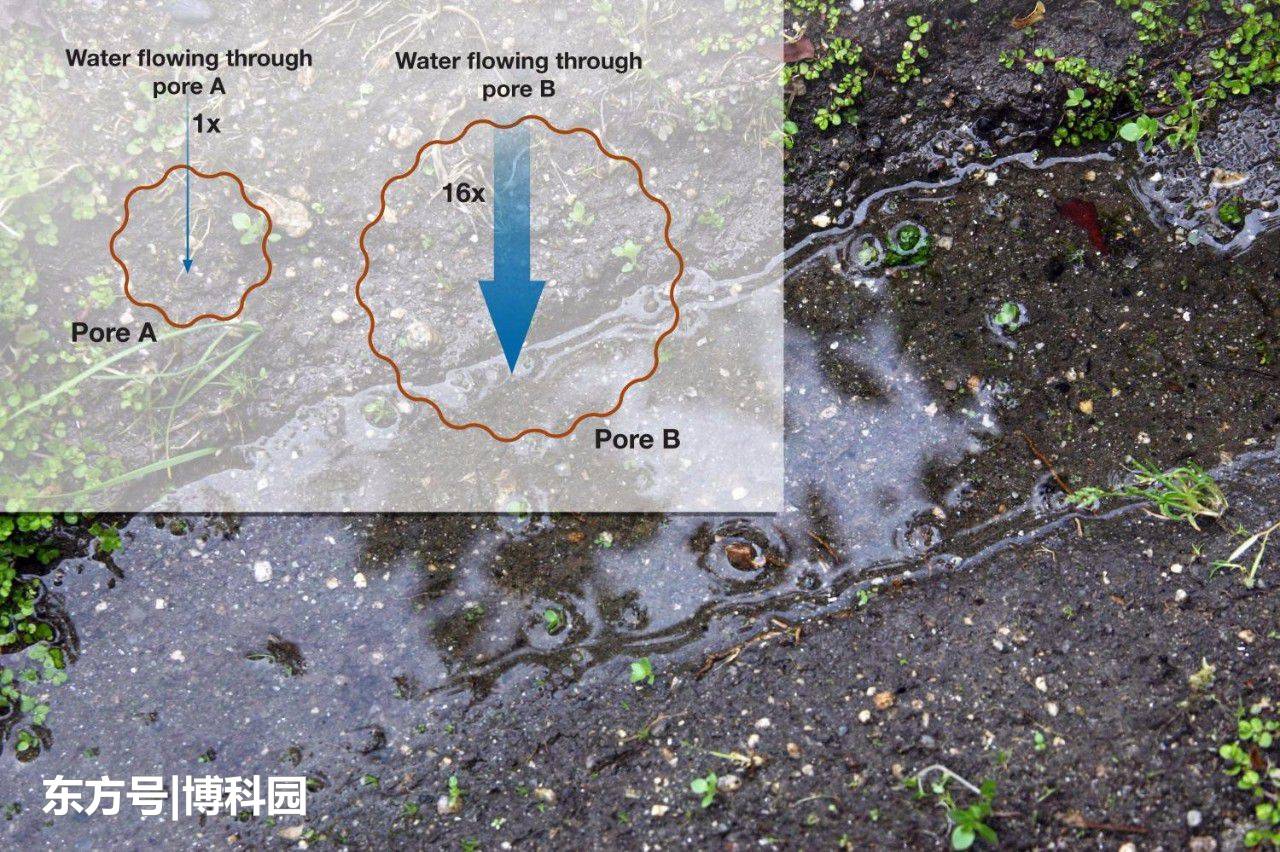 水会往哪去？一种测量水流动方式的新方法！343 / 作者:银鲜目江探 / 帖子ID:53278