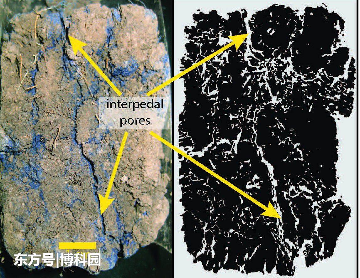 水会往哪去？一种测量水流动方式的新方法！243 / 作者:银鲜目江探 / 帖子ID:53278
