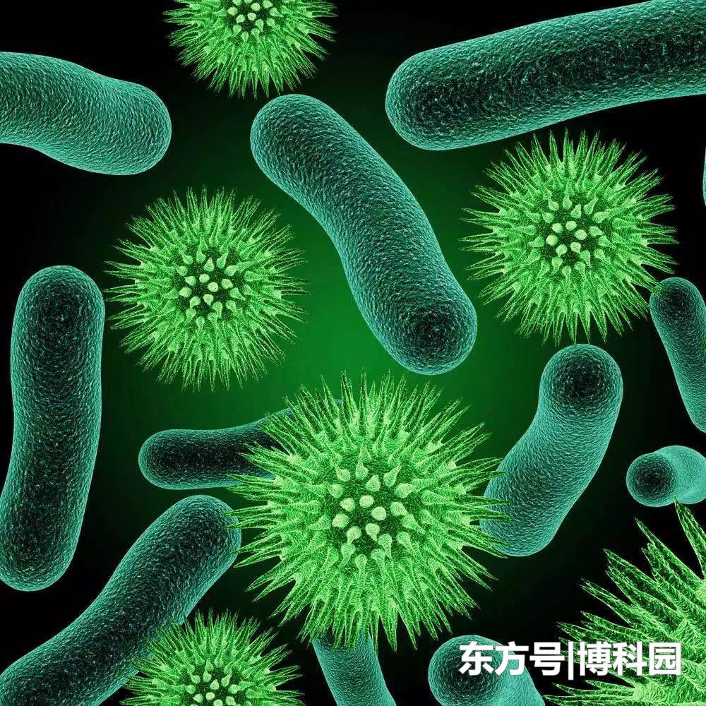 活性物质，如细菌或上皮细胞，是如何扩展到狭窄空间的？299 / 作者:nshukwrd / 帖子ID:53279