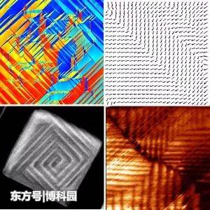 研究表明：原子的范德华异质结构，能同时表现出铁磁性和铁电性！599 / 作者:音乐之家1 / 帖子ID:53284