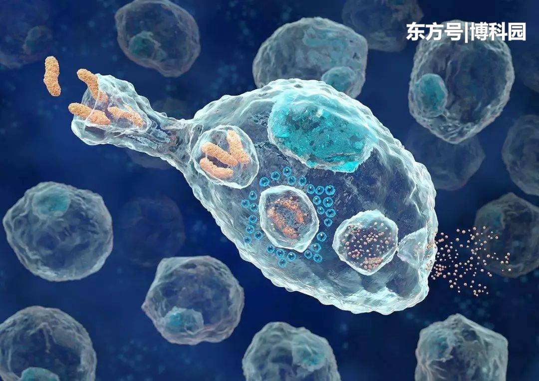 为何细胞在拥挤的细胞环境中移动得更快？80 / 作者:内托体头 / 帖子ID:53286