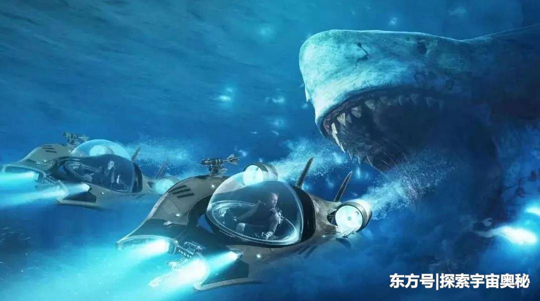 海洋霸主是如何诞生的？幼年时不如一粒米，成年后鲨鱼也不敢招惹482 / 作者:随遇而安428 / 帖子ID:53324
