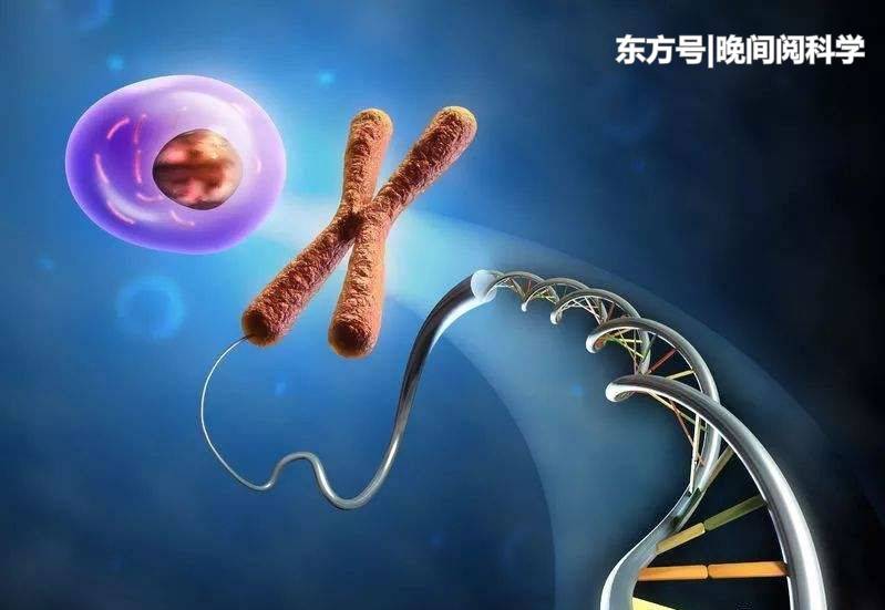 100万年后的人类会是什么样子？日本科学家推测出最终形象300 / 作者:522008 / 帖子ID:53329