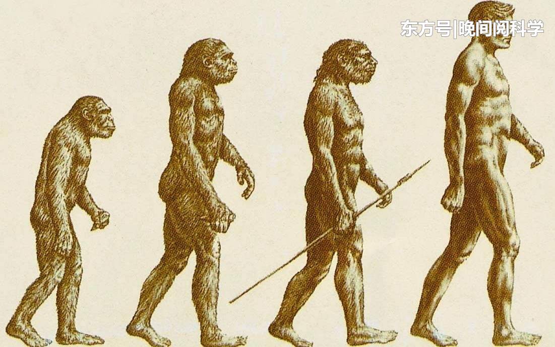 100万年后的人类会是什么样子？日本科学家推测出最终形象852 / 作者:522008 / 帖子ID:53329