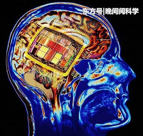 100万年后的人类会是什么样子？日本科学家推测出最终形象214 / 作者:522008 / 帖子ID:53329