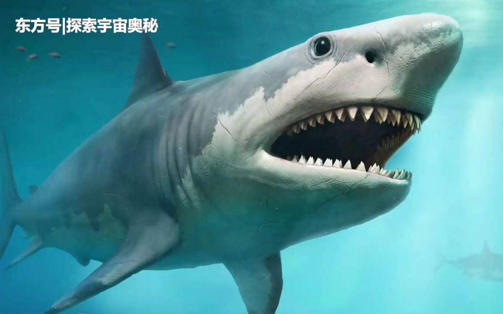 3种已消失的史前凶兽，科学家却不觉惋惜，感叹这是人类的福音843 / 作者:圆月小侠 / 帖子ID:53467