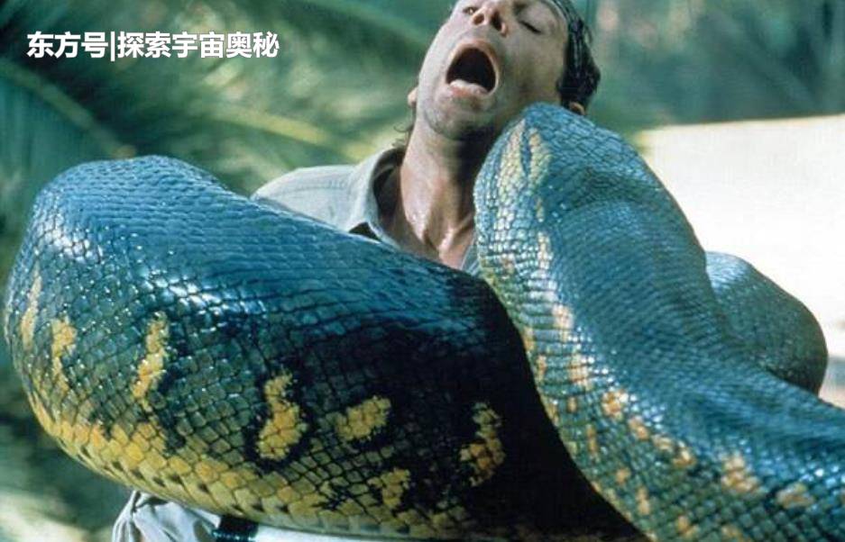 3种已消失的史前凶兽，科学家却不觉惋惜，感叹这是人类的福音204 / 作者:圆月小侠 / 帖子ID:53467