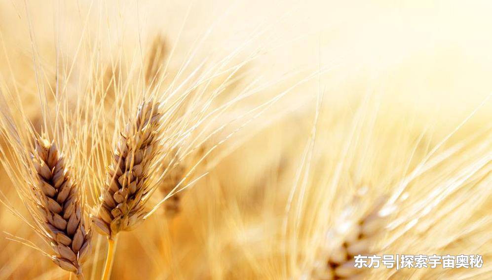 一张纸为何无法被折叠超过8次？453 / 作者:孙悟空748 / 帖子ID:53497