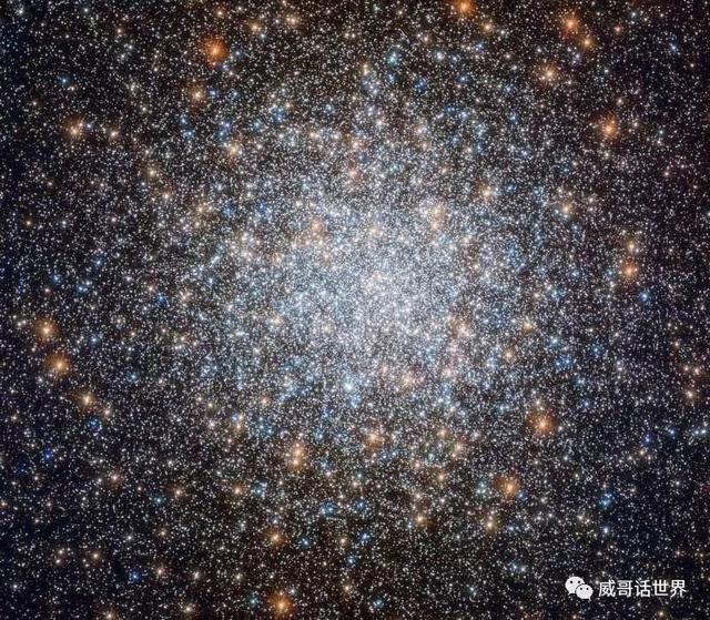 有人说宇宙是一个巨大的生物，事实到底是怎样的？756 / 作者:傲雪风 / 帖子ID:53506