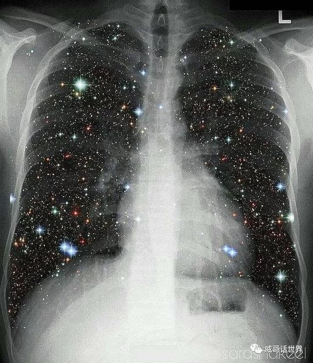 有人说宇宙是一个巨大的生物，事实到底是怎样的？761 / 作者:傲雪风 / 帖子ID:53506