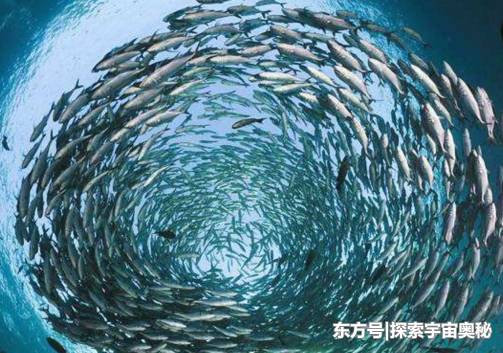 地球内部是个“无底洞”？每天3万多吨水流向地心，至今也未装满745 / 作者:123456806 / 帖子ID:53515