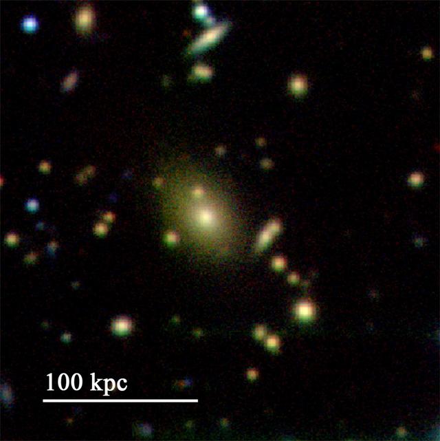 宇宙中的凤凰 肉眼可见的巨大星系团460 / 作者:勇敢的树袋熊1 / 帖子ID:53536