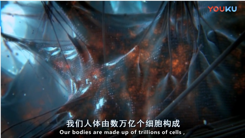 你后来才知道的震撼的概念有哪些？1000 / 作者:floatagfly / 帖子ID:53564