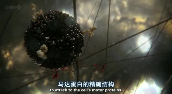 你后来才知道的震撼的概念有哪些？464 / 作者:floatagfly / 帖子ID:53564