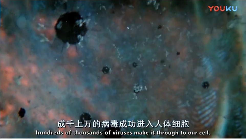 你后来才知道的震撼的概念有哪些？899 / 作者:floatagfly / 帖子ID:53564