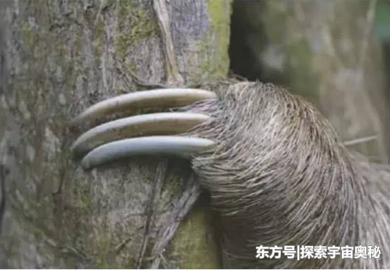 巴西境内出现历史长达1.3万年的洞穴，建筑成因至今是谜471 / 作者:大脚吴妈 / 帖子ID:53576
