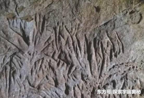 巴西境内出现历史长达1.3万年的洞穴，建筑成因至今是谜105 / 作者:大脚吴妈 / 帖子ID:53576