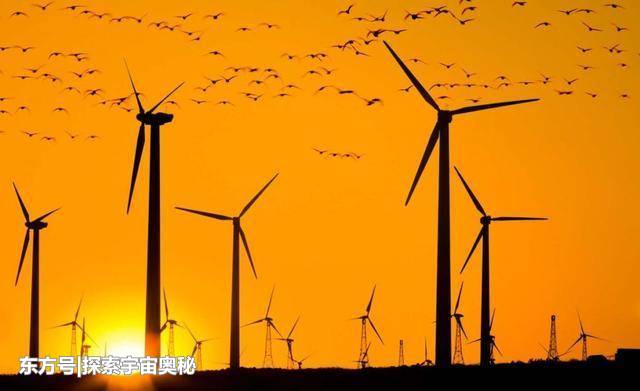 风能已成动物杀手？研究发现，风力发电每年杀死1300只禽类971 / 作者:霓小沫儿 / 帖子ID:53606