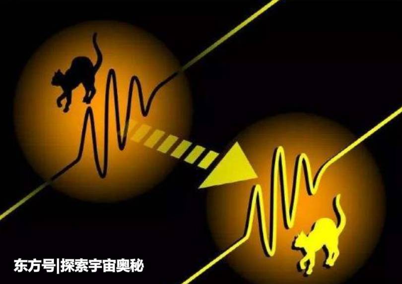 量子世界最神奇的猫，不仅让人类突破，同时证实了平行世界的存在127 / 作者:gongjingwe / 帖子ID:53628