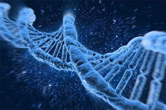 数学是什么？它是构成大自然乃至宇宙的基础！它几乎无处不在765 / 作者:GRcSXZPy / 帖子ID:53735