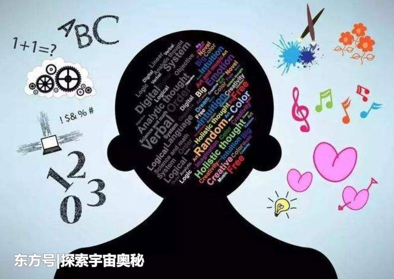 11岁伊朗女孩智商162，已超过爱因斯坦，人类的大脑有上限吗728 / 作者:torry / 帖子ID:53760