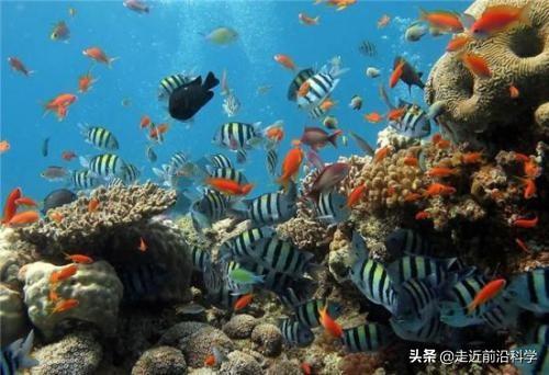 暗物质占宇宙80%以上，它到底是什么？这个比喻非常形象150 / 作者:闲不住a / 帖子ID:53774